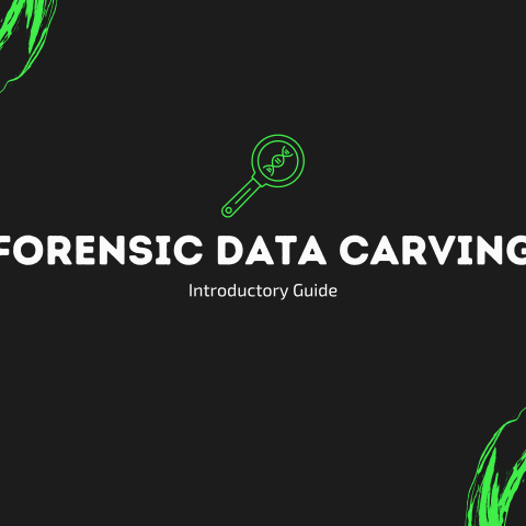 Step-by-Step Guide to File Carving in Digital Forensics