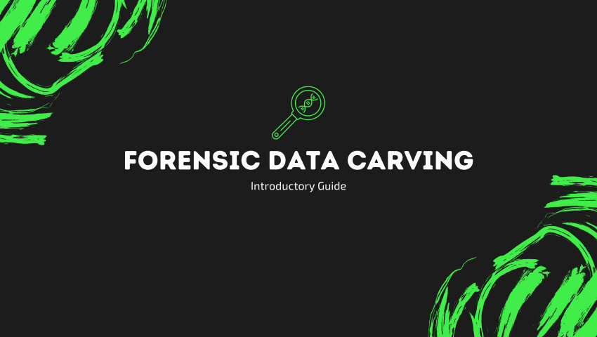 Step-by-Step Guide to File Carving in Digital Forensics