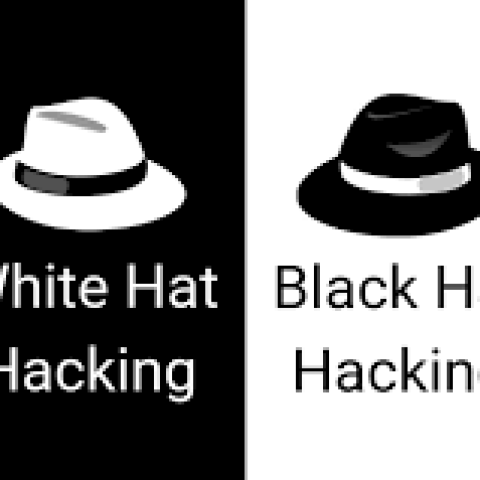 Ethical Hacker vs Black Hat Hacker vs White Hat Hacker: Key Differences Explained