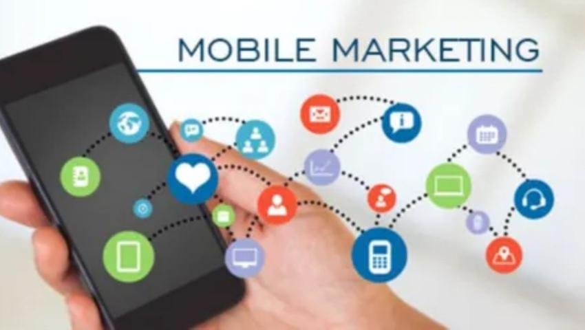 Mobile & App Services