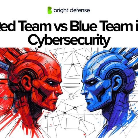 How to Choose a Specialization in Cybersecurity: Forensics, Red Team, Blue Team & More